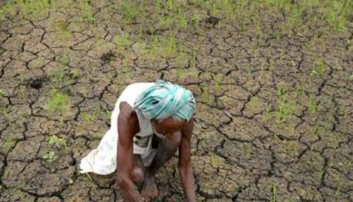 एका दिवसाला किती शेतकऱ्यांची आत्महत्या? 