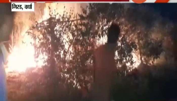 Wardha,Girad Fire At House Due To Rat Update
