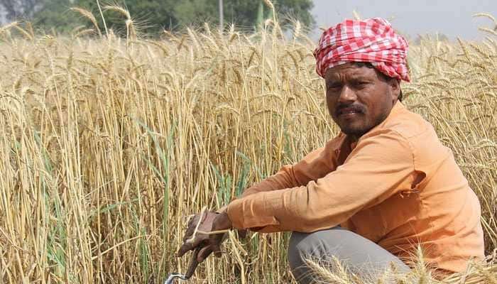 पूरग्रस्त भागातील शेतकऱ्यांना मदतीचा पहिला टप्पा वितरीत - वडेट्टीवार