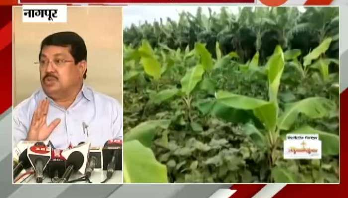 State Cabinet Minister Vijay Wadettiwar On Distributing Funds And Help To Farmers