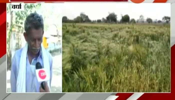 Wardha Farmers Not Recived Help From Maharashtra Government Before Diwali