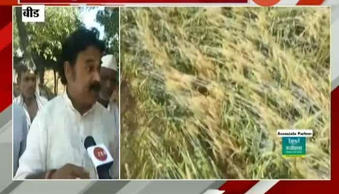 Beed Farmers In Anger For Help Given As Promised By Thackeray Government Before Diwali