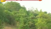 रिपोर्टर्स डायरी । पुण्याच्या फुफ्फुसावर गदा..  