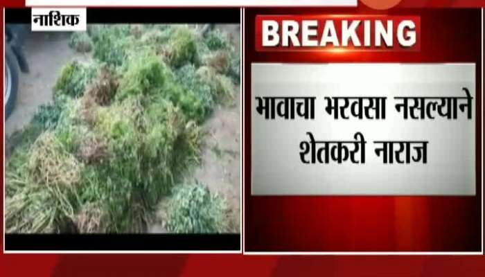 Nashik Vegetables Price Falls