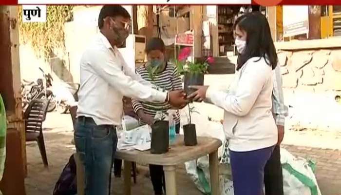 Pune Give Plastic Carry Bag And Take A Plant Free Campaign