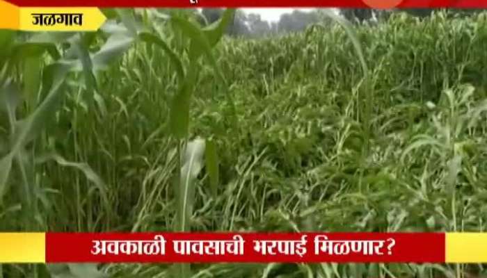 Jalgaon Farm And Crops Destroyed From Three Days Rain And Climate Condition