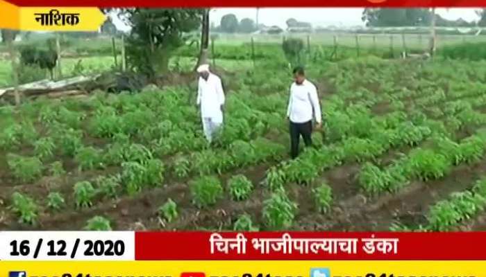 Nashik Farmer Free Of Tension Selling Crops Direct To Food Chain And Big Restaurants
