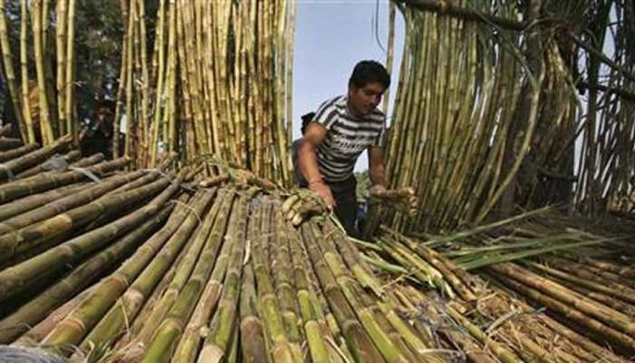 शेतकऱ्यांसाठी सरकारचा मोठा निर्णय, साखर करणार निर्यात 