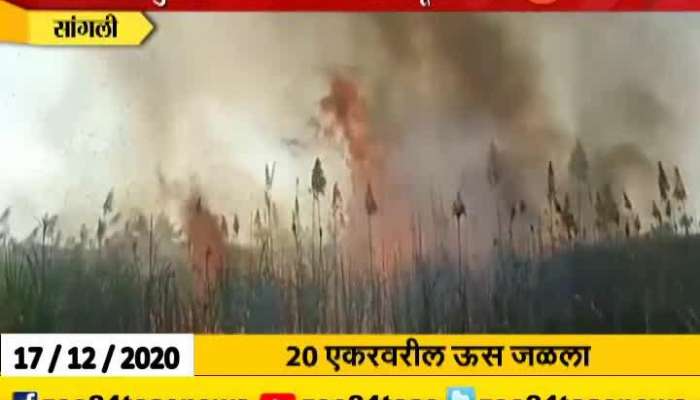 Sangli Fire At 20 Acre Of Sugarcane Farm