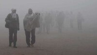 राज्याला हुडहुडी ! परभणीचा पारा ५.६ अंशांवर....