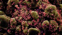 New Corona Virus पासून कसा कराल बचाव? 