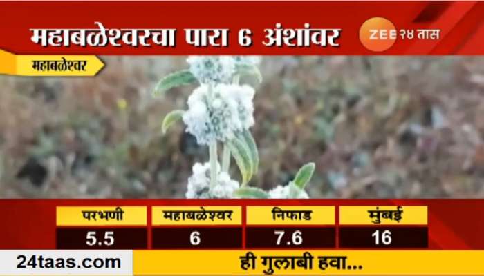 गुलाबी थंडीची चाहुल, महाबळेश्वर-धुळे-परभणीत नीचांकी तापमान  