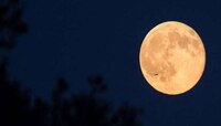 'या' दिवशी दिसणार २०२० मधील Cold Moon Night 