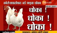 देशभरात आता बर्ड फ्लूचे थैमान, नव्या संकटाचा धोका