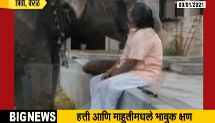 Kerala Trichy Viral Video Of Elephant And Mahout Conversation