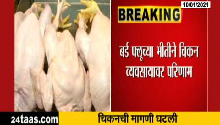 Latur 128 Chiken Death And Price Reduced 50 Percent