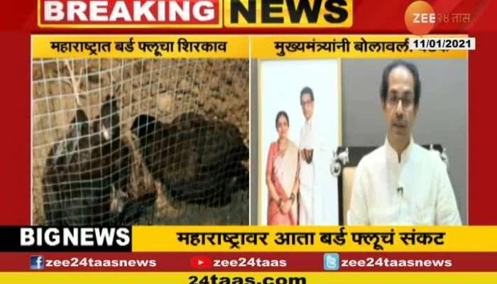 Cm Uddhav Thackeray call meeting On Bird Flue