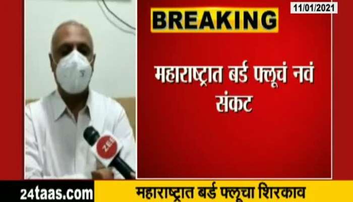 Bird Flu Enters Maharashtra As Reports Found Possitive Of Dead Birds