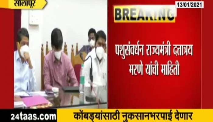 Cabinet Minister Dattatray Bharne On Compensation To Farmers For Bird Flu