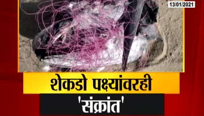 Nagpur Administration Not Alert As One More Death From Kite Flying Nylon Thread