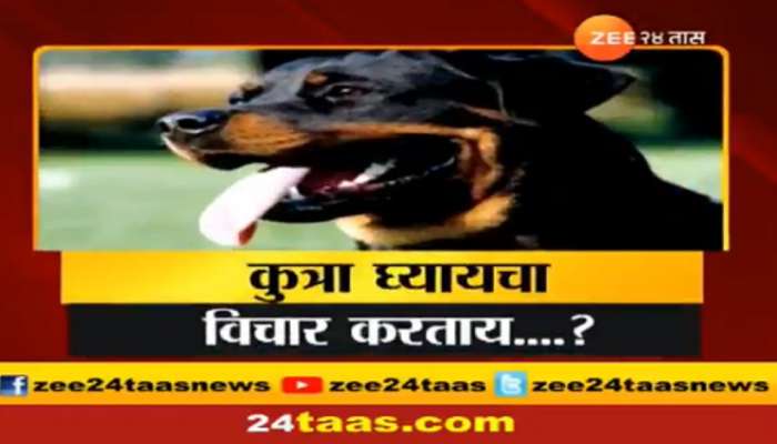 कुत्र्याची जबरदस्त सटकली आणि माणसाचा घोटला गळा 