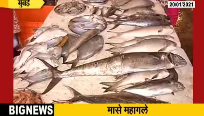 Mumbai People Facing Problem As Sea Food Getting Expensive As Demand Rise
