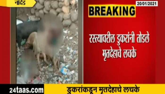 Nanded Police On Dead Body Eaten By Pigs Outside Nanded Civil Hospital And Medical College