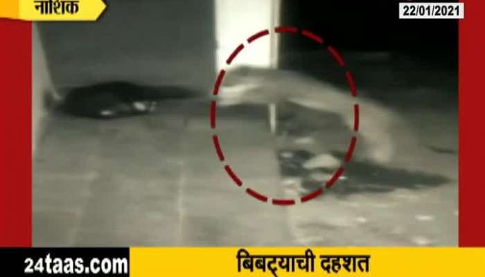  Nashik Leopord Attack On Dog