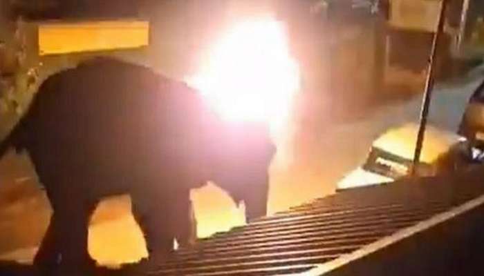 धक्कादायक बातमी ! गावकऱ्यांनी हत्तीला पेटवले, उपचारासाठी नेताना मृत्यू 