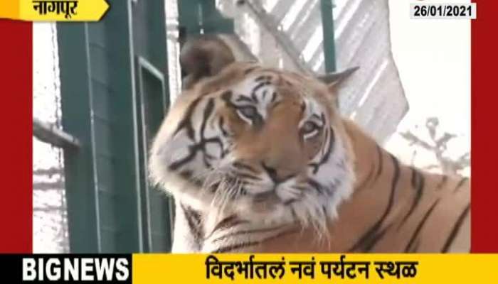 CM Uddhav Thackeray To Inagurate Nagpur Balasaheb Thackeray Gorewada International Zooligical Park