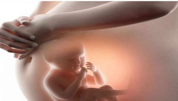 संशोधनातून Miscarriage होण्यामागचं कारण समोर  