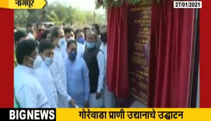 Nagpur CM Uddhav Thackeray Visit Gorewada International Zoo