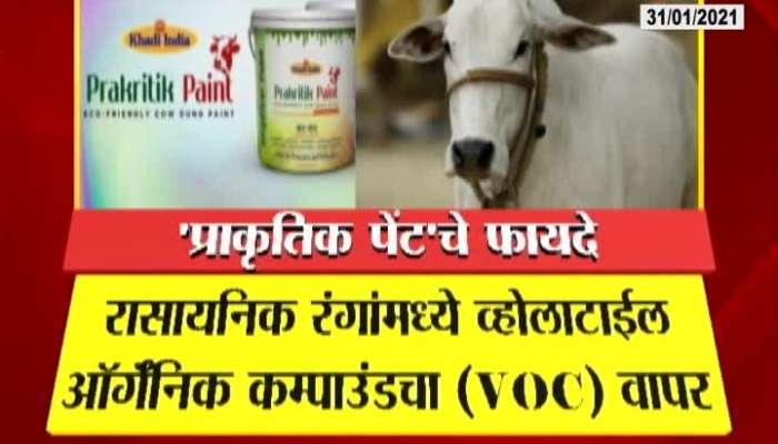 Eco Friendly And Non Toxic Color Made From Cow Dung In Demand