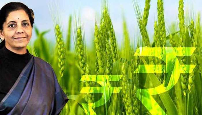 Budget 2021: मोदी सरकारचा शेतकऱ्यांवर Focus, 5 योजनांवर अधिक भर
