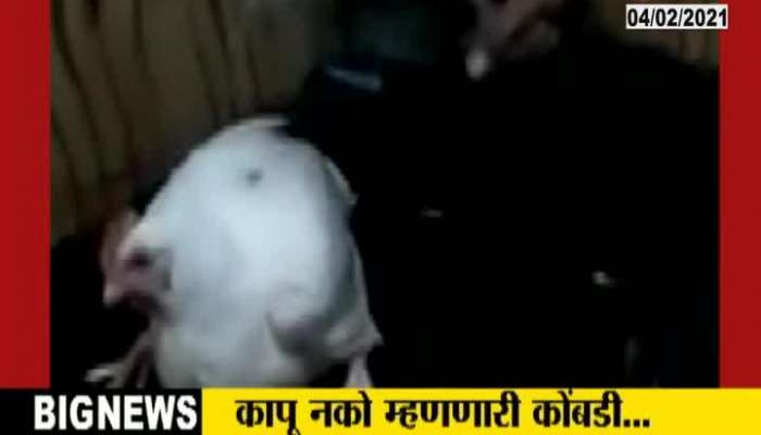 Viral Video Of Slaughter Asking Hen Katu Kya