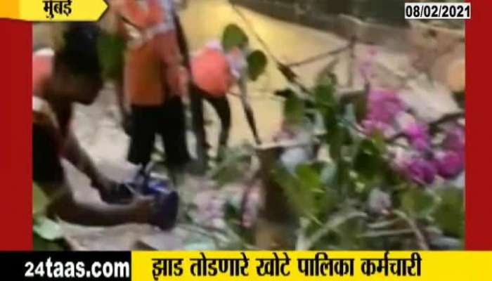 Mumbai Police Arrested Four For Being Fake BMC Worker And Cutting Old Banyian Tree