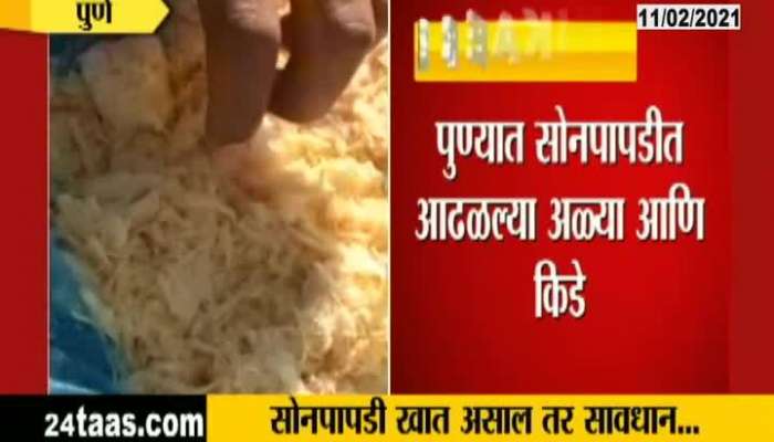 Pune Insects and larvae found in soanpapdi sweets