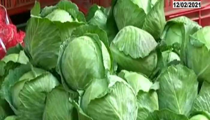 Satara Farmers Get Rs 2 On 2 Kg Cabbage
