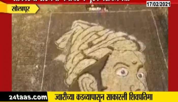  Solapur Lokastha Foundation Making Chhatrapati Shivaji Maharaj Portrait In Jawar Farm