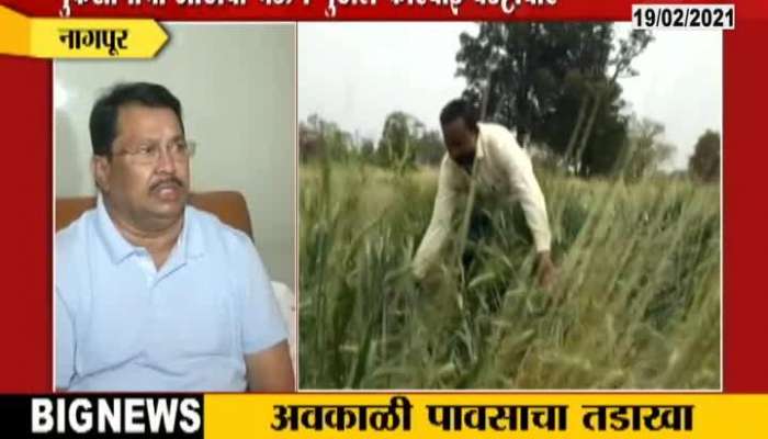 Minister Vijay Wadettiwar On Unseasonla Rain And Hail Destroying Crops