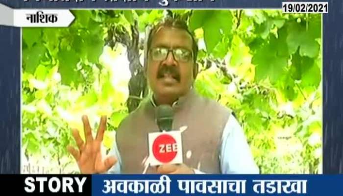 Nashik Grapes Farm Destroyed After Unseasonal Rain And Hailstrom