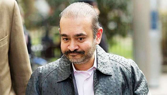 मोठी बातमी : नीरव मोदीला लंडन कोर्टाचा मोठा दणका, प्रत्यर्पणाला मंजुरी