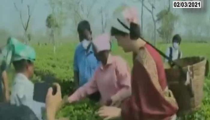 Congress Leader Priyanka Gandhi In Tea Garden