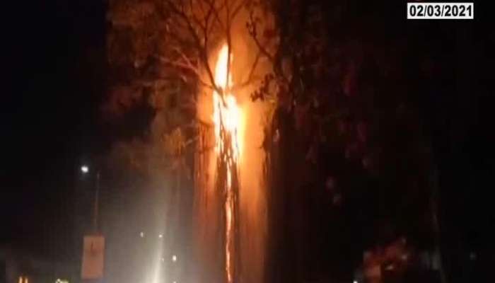 Nashik 102 Year Old Tree Caught Fire