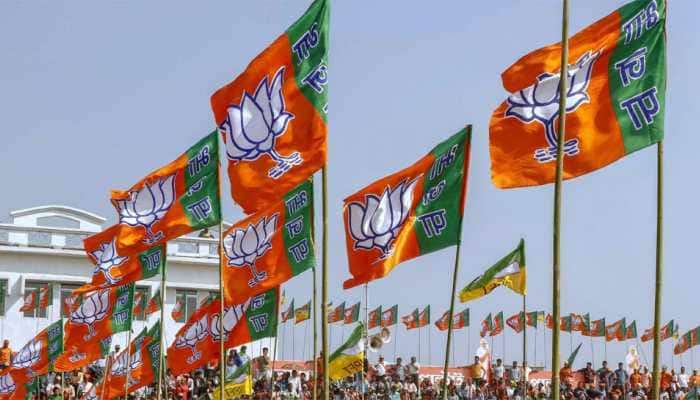 भाजपकडून केरळच्या मुख्यमंत्रीपदासाठी उमेदवार जाहीर, जाणून घ्या कोण आहेत 'मेट्रो मॅन' ई श्रीधरन