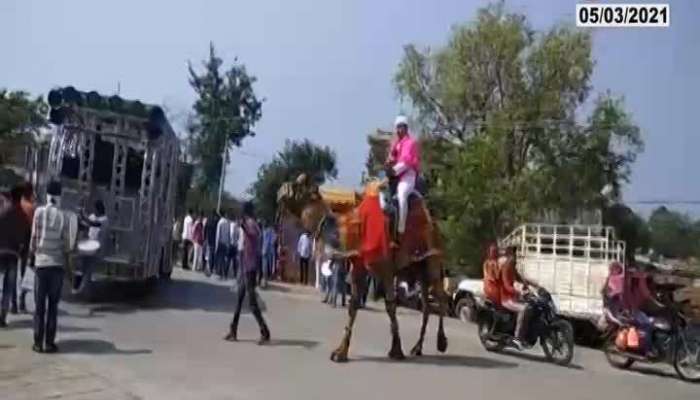 Nanded Camel Ride Marriage