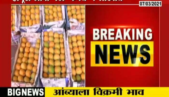 A record price of Rs. 1 lakh for a box of hapus in Rajpur, Ratnagiri