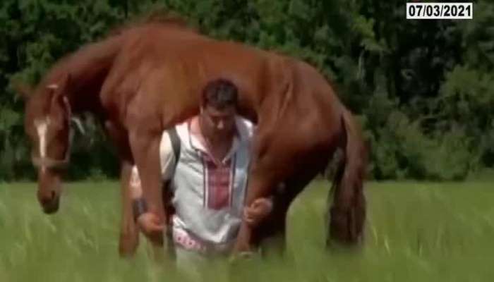 Man Carry Horse Video Viral