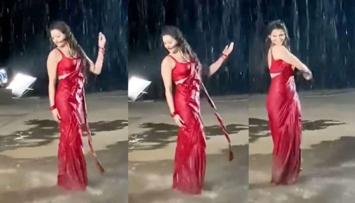 Urvashi Rautela चा लाल साडीत धमाकेदार डान्स , व्हिडिओ व्हायरल