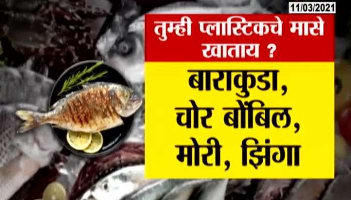 Alert If Love To Eat Fish Asit May Have Plastic In It